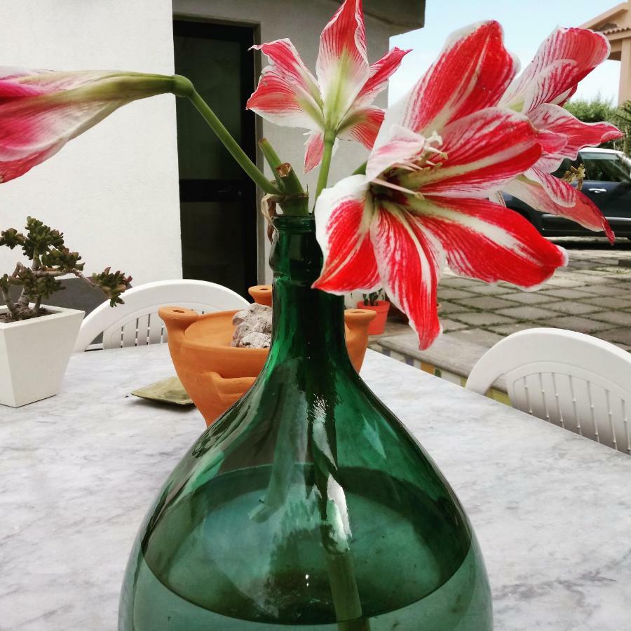 Idria B&B Barcellona-Pozzo di Gotto Dış mekan fotoğraf
